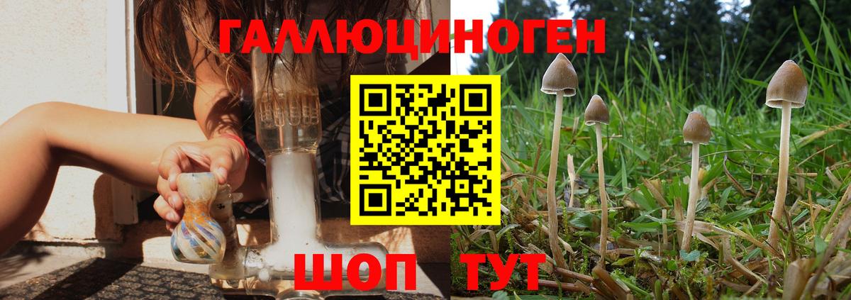 Галлюциногенные грибы ЛСД  Галлюциногенные грибы Psilocybine cubensis  купить  сайты  Апатиты  Вход с VPN 