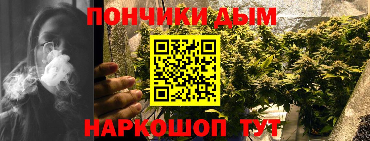 Каннабис индика Апатиты